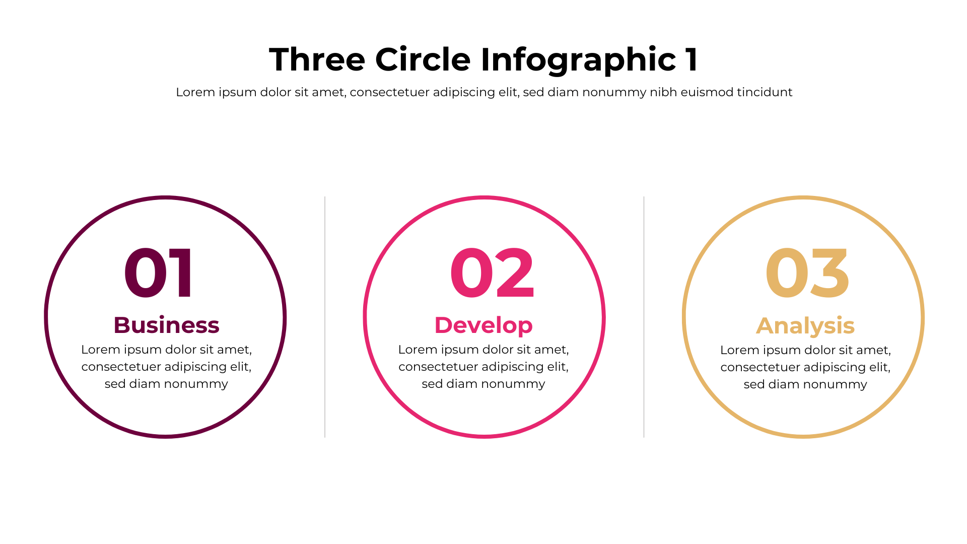 Three Circle Infographic