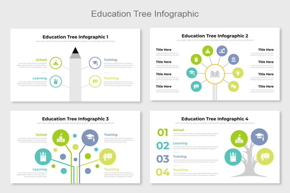 Education Tree Infographic