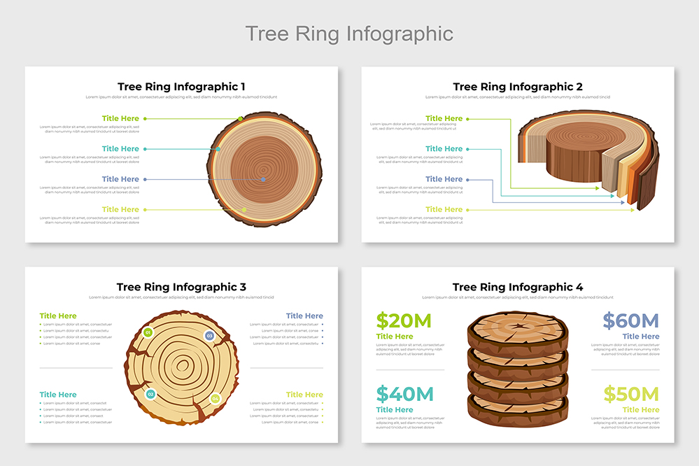 Tree Ring Infographic